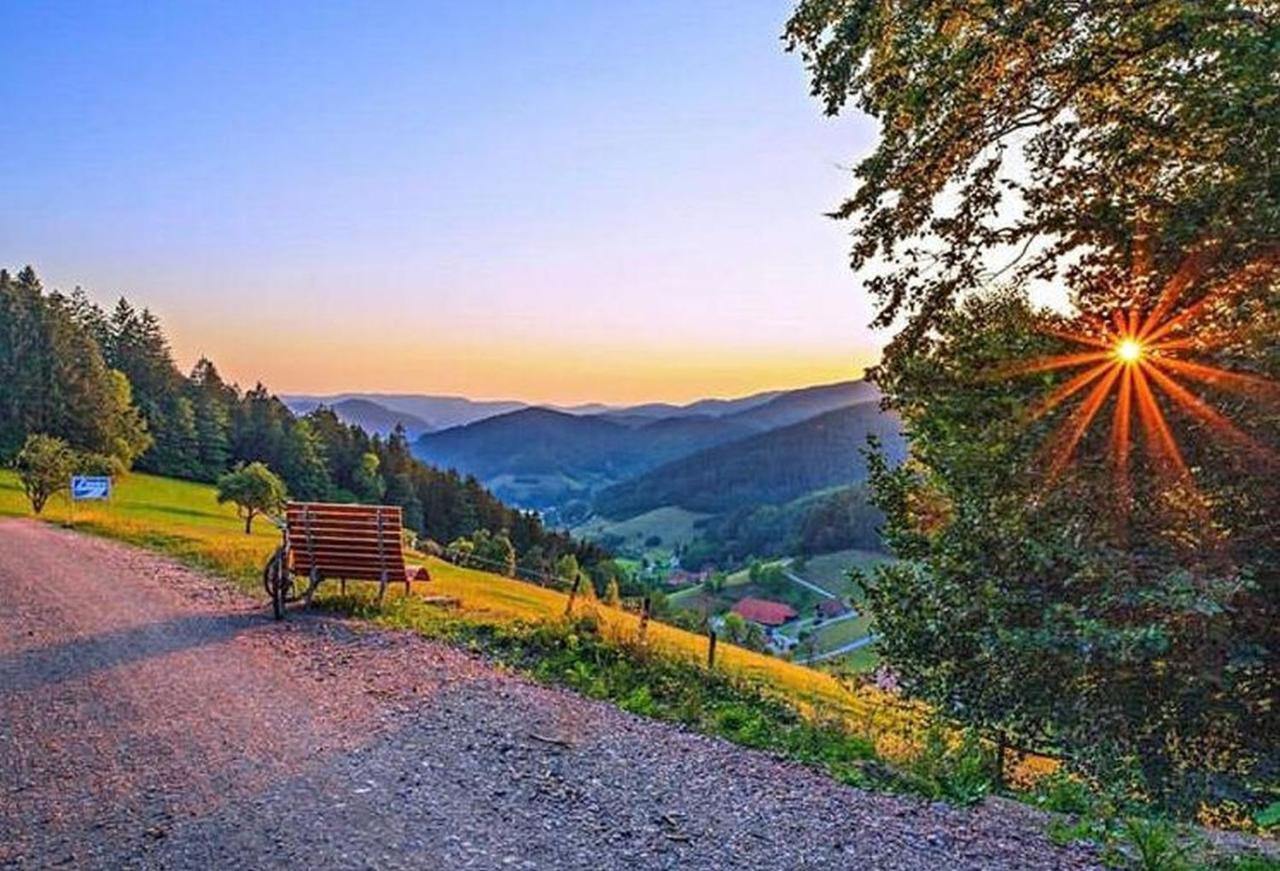 Ferienhaus Wendelinus Mit Pool & Sauna Hausach Exteriör bild
