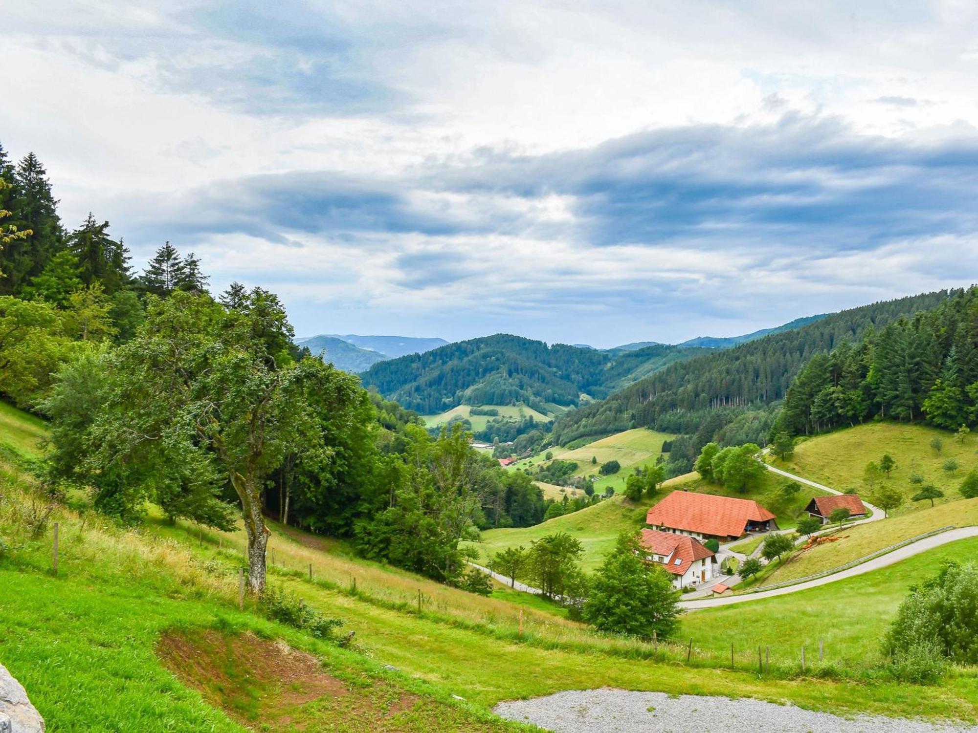 Ferienhaus Wendelinus Mit Pool & Sauna Hausach Exteriör bild